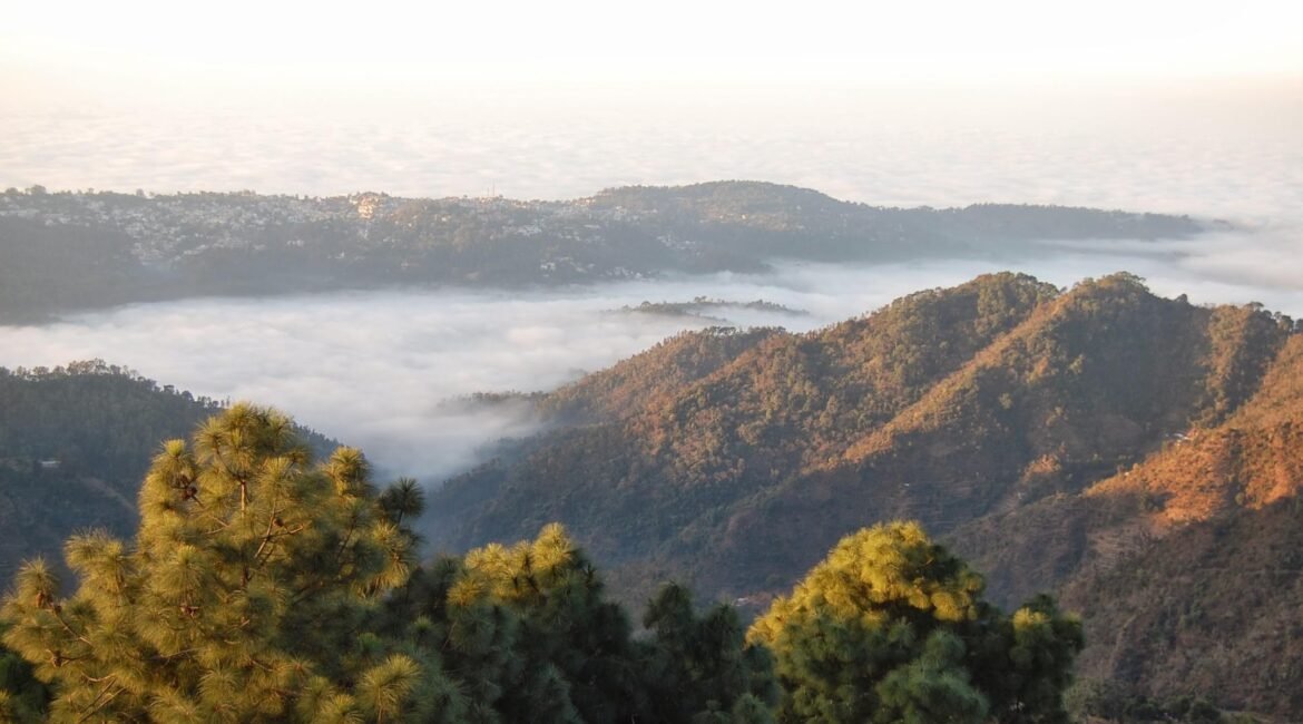 Exploring Jamta: A Hidden Gem of Himachal Pradesh