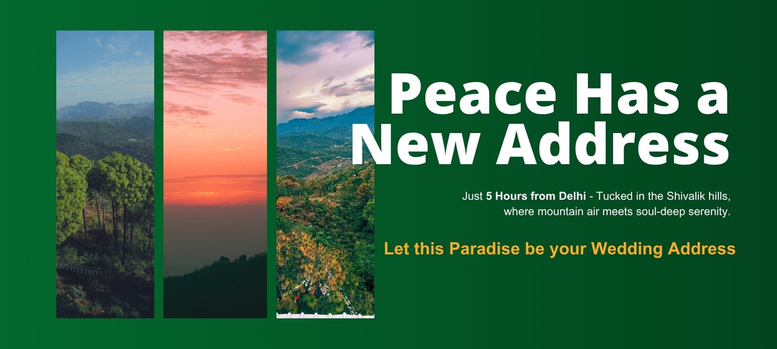 Wedding Destination - Peace Has a New Address