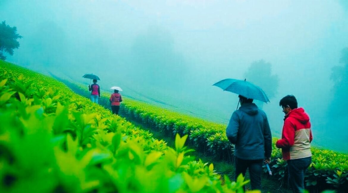How Himachal Pradesh is the Ideal Destination for Your Next Family Vacation Himachal